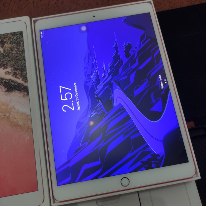 iPad Pro 10.5 2017 64GB Wifi Cellular Rose Gold Perfect Like New