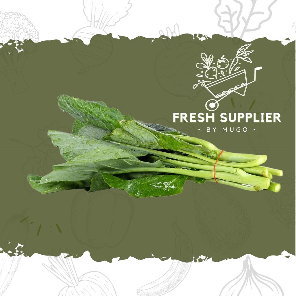 

Kailan 250g Fresh Supplier