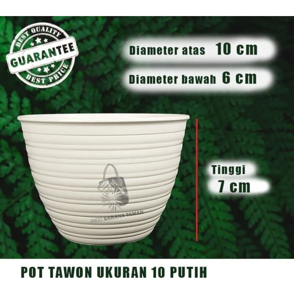 POT TAWON 10 PUTIH Pot Plastik Pot Bunga Pot Tanaman Pot Tawon ASLI Grosir Pot Pot Unik