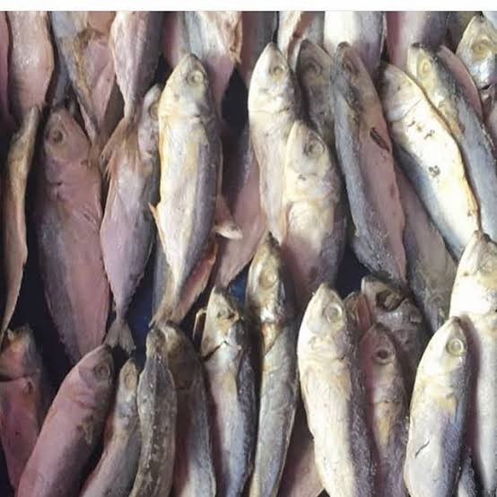 

Ikan Asin Japu - 250 gram