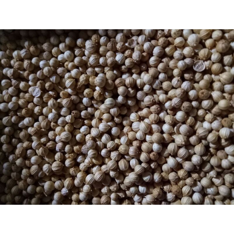 

Ketumbar Kasar / Biji Curah 250gr