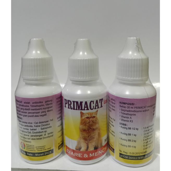 primacat untuk mencegah diare dan mencret kucing