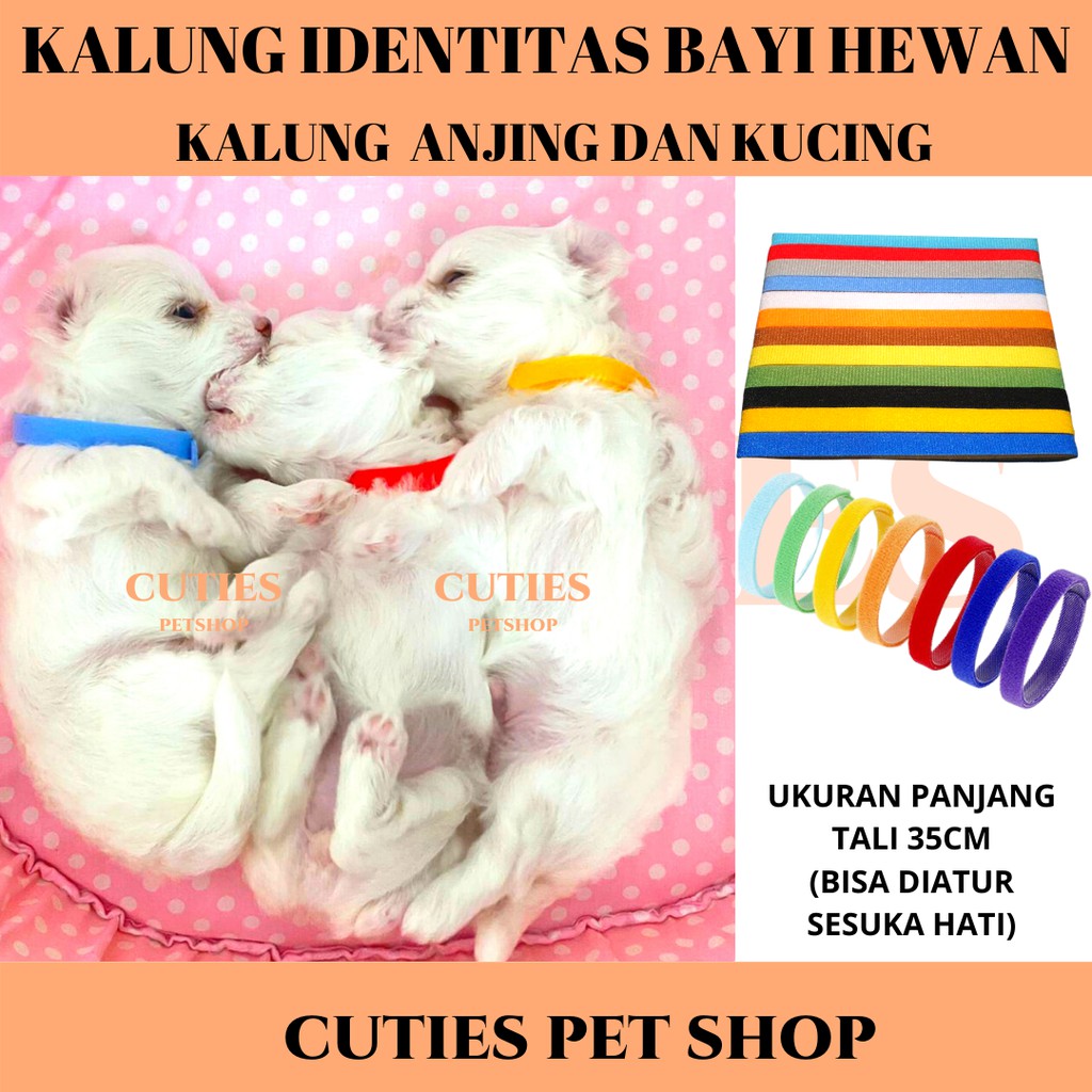 KALUNG BAYI IDENTITAS PENGENAL ANAKAN RAS BESAR KECIL ANAK BABY KUCING ANJING KITTEN PUPPY ID ANABUL