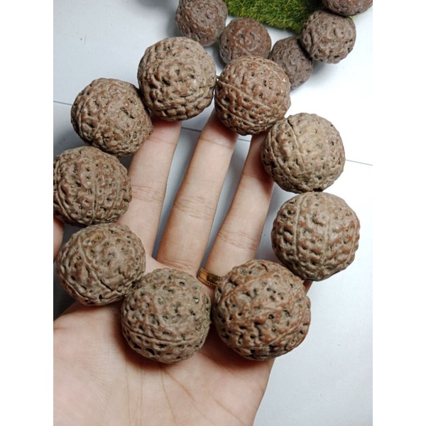 gelang biji jenitri jumbo
