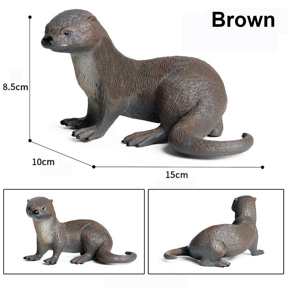 Chookyy Manusia Hidup Model Otter Pemandangan Kebun Binatang Anak Cognition Belajar Dini Hewan Liar