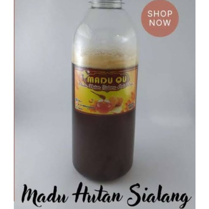 

Madu Hutan Sialang Riau 500 gram Asli