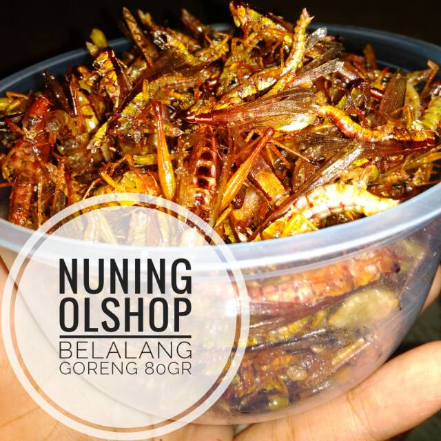 

BELALANG GORENG / WALANG GORENG 80gr RASA GURIH TIDAK PEDAS