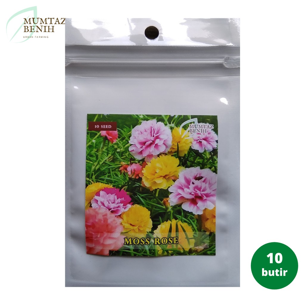 Benih/Biji Bunga Moss Rose (Mumtaz)