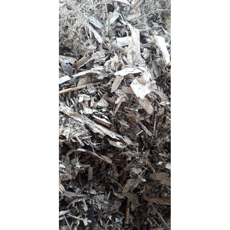 Media Tanam Humus (humus daun bambu) 500gr