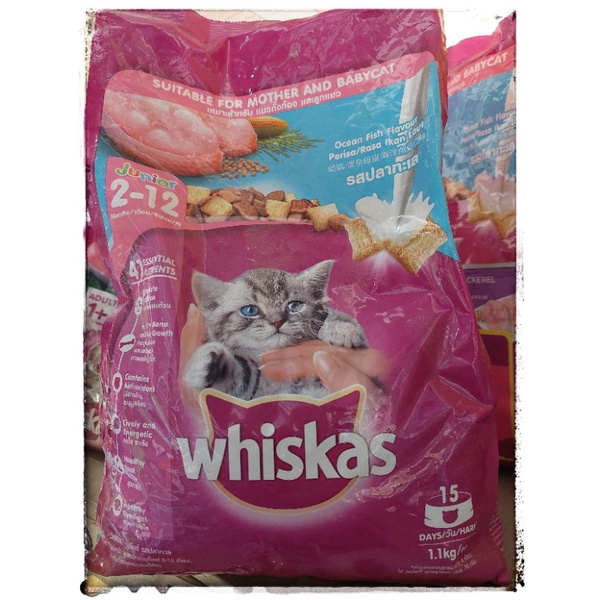 WHISKAS JUNIOR 2-12bulan 1.1kg