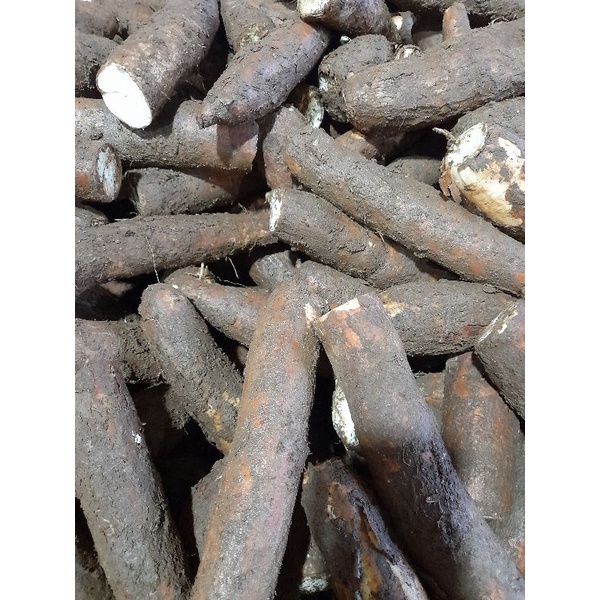 

singkong segar 1 kg
