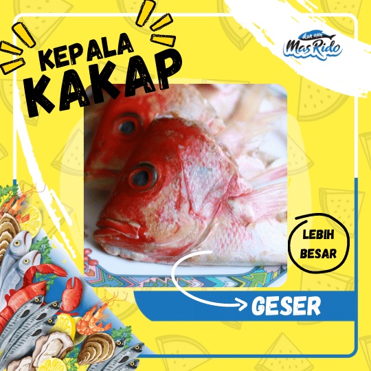 

Kepala Kakap Merah Segar Fresh Kwalitas Super Harga Murah Per Buah Aaa