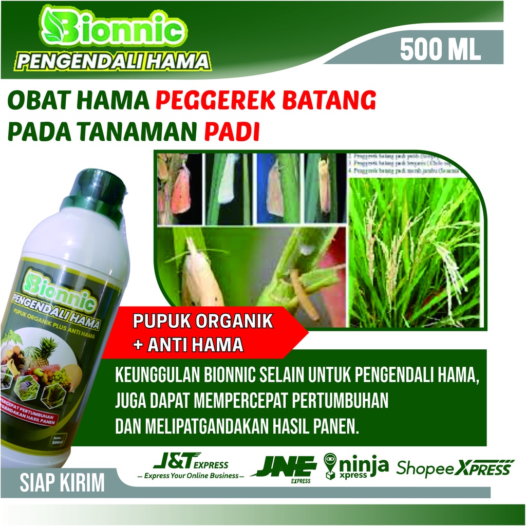 Obat Percepat Panen Serta Obat Hama Penggerek Batang Padi - BIONNIC Obat Pengendali Hama Padi Paling