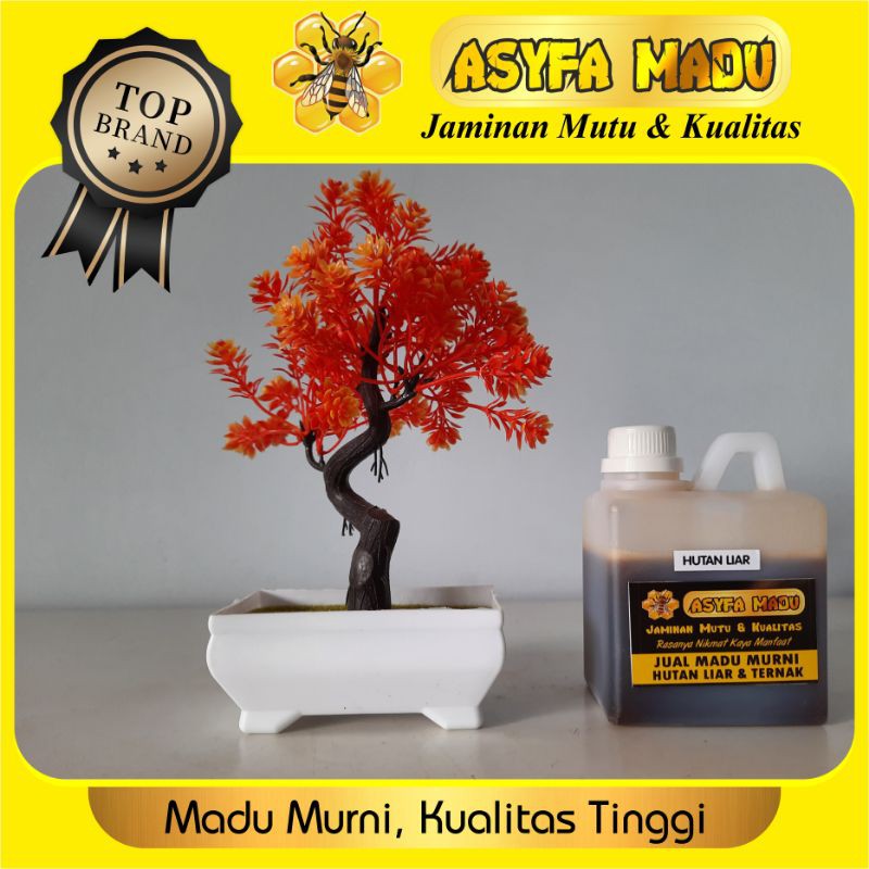 

madu hutan liar asli murni apis Dorsata kemasan ½ kg