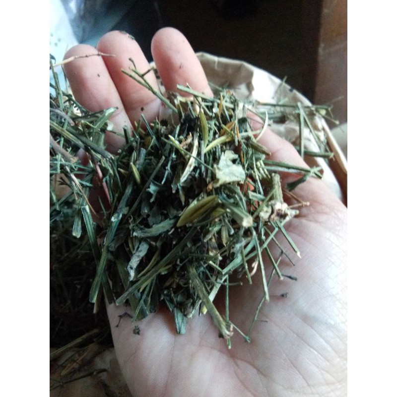 

DAUN SAMBILOTO KERING KEMASAN EKONOMIS 100 gr