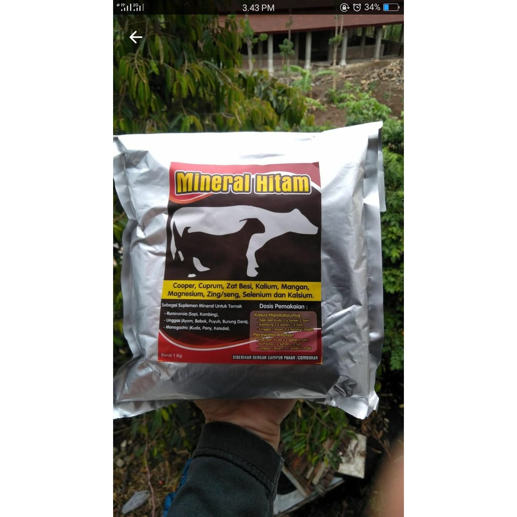 Mineral hitam untuk sapi kambing kuda ayam bebek puyuh