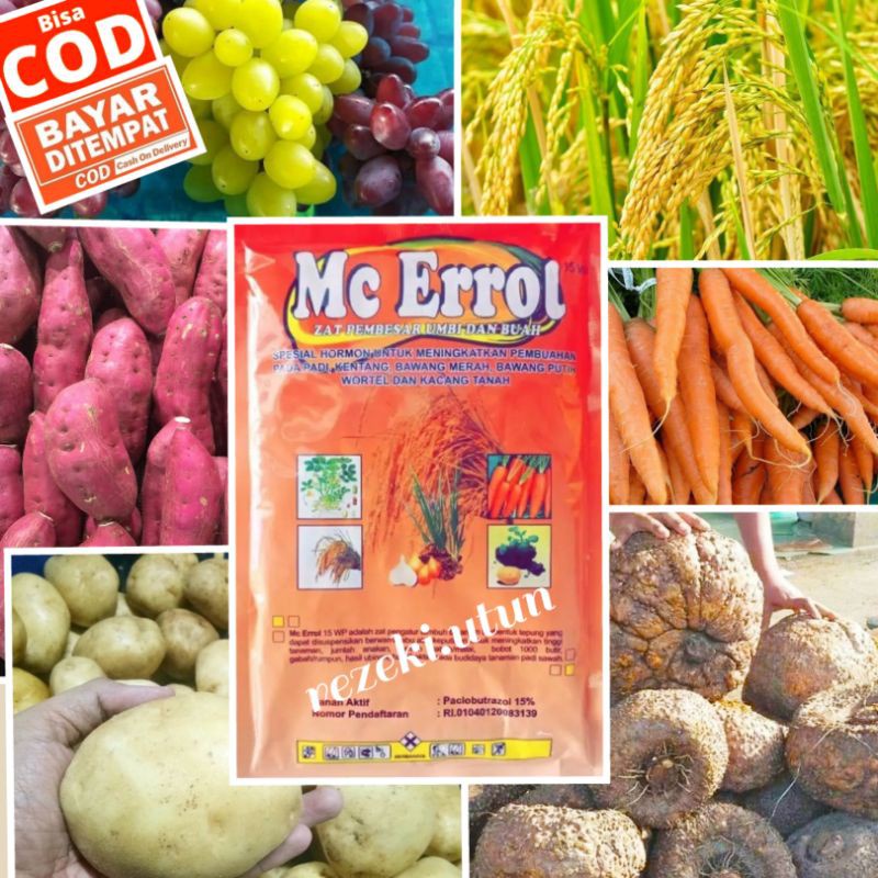 PUPUK PEMBESAR UMBI , MC ERROL , ZAT PEMBESAR UMBI & BUAH , BOOSTER UMBI, BOOSTER PORANG, PUPUK PORA