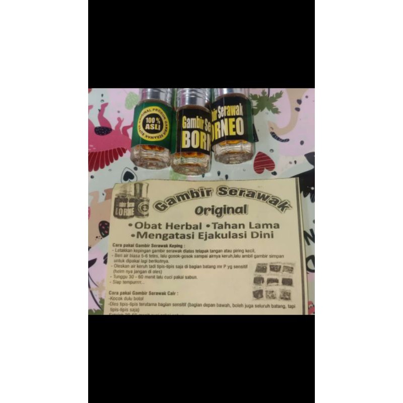 GAMBIR SERAWAK BORNEO