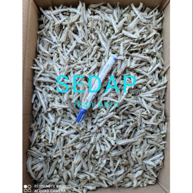 

Ikan Teri Jengki 1KG