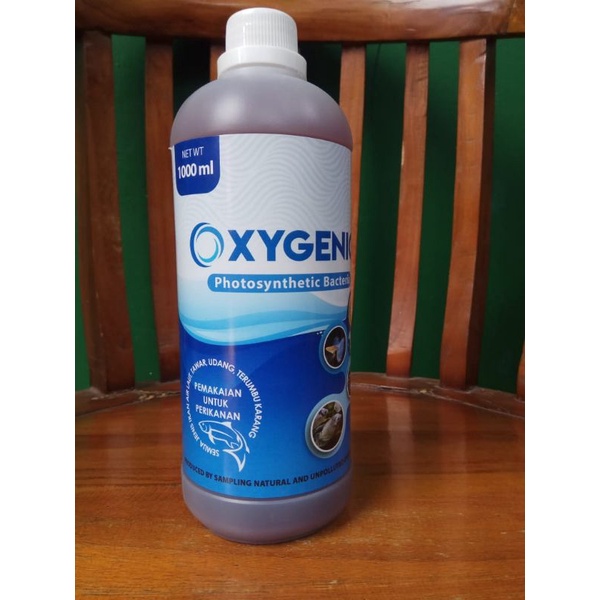 Oxygenic Bakteri Starter Probiotik