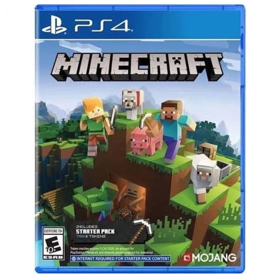 PS4 Minecraft Starter Pack