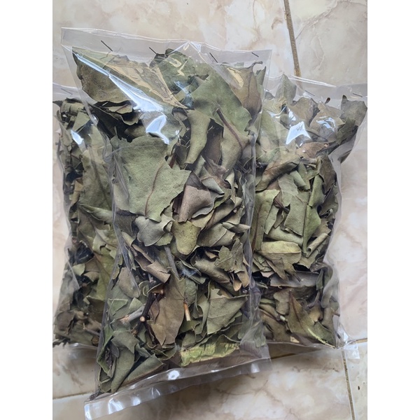 

benalu jeruk kering