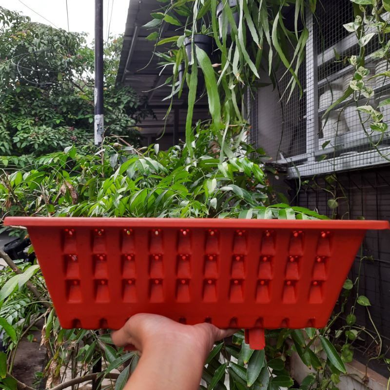 Pot Tempel / Dinding Argo 04 Coklat Bata / Pot Tanaman / Pot Vertikal Garden