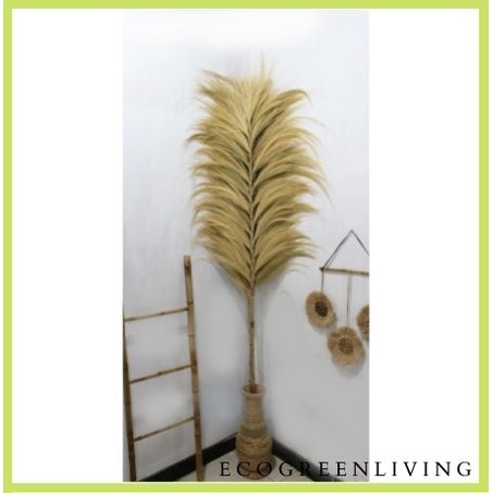 Rayung Stick / Bunga Kering / Dried flower / Bunga Hias / Natural Leaf Rayung Stick (Bundling isi 2)