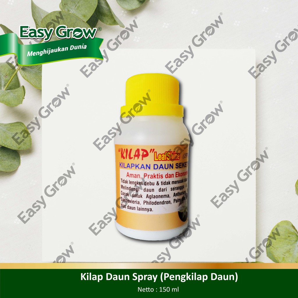 Kilap Daun Spray (Pengkilap Daun)