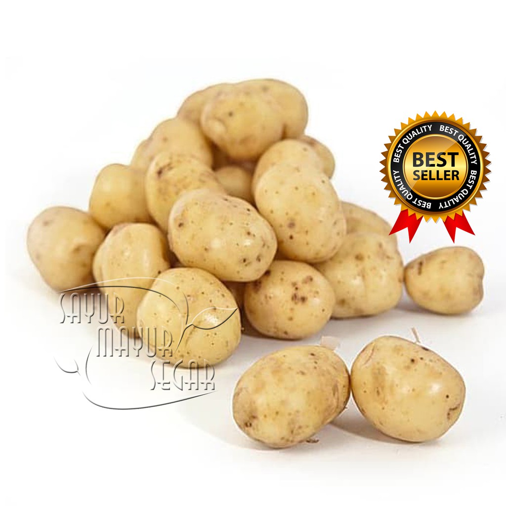 

KIRIM INSTAN KENTANG KECIL KENTANG RENDANG SEGAR / BABY POTATO 500 GRAM & 1KG (SAYUR CURAH)