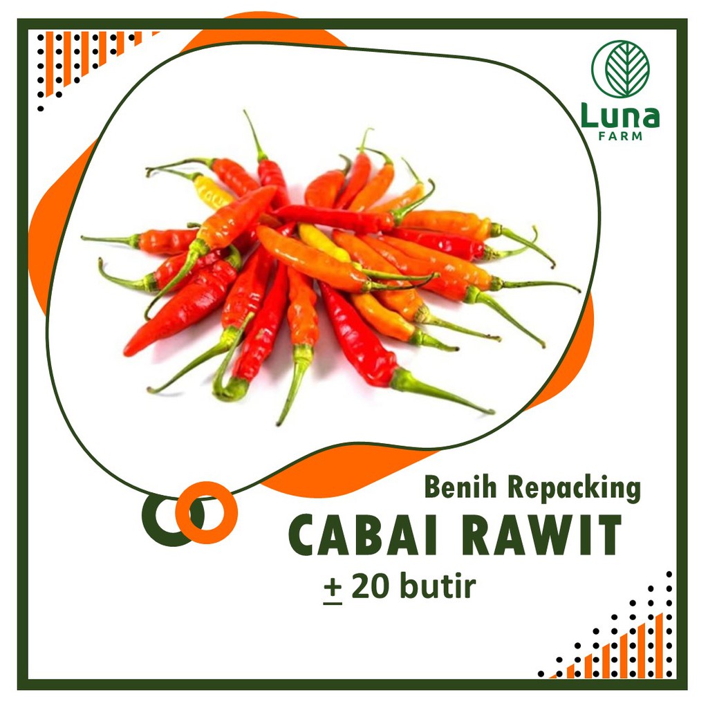 Benih Cabai Rawit 20 Butir Biji Benih Cabe Kecil Pedas Seribuan