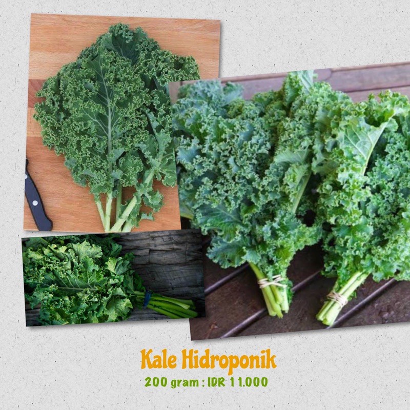 

Kale Organic