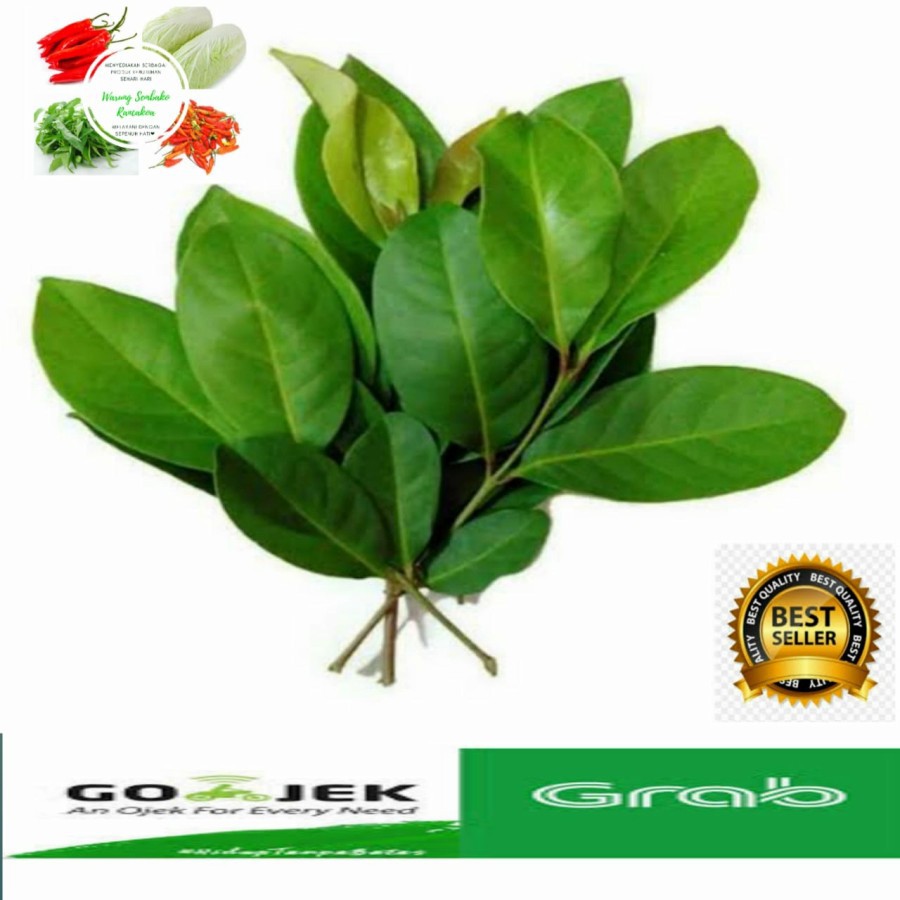 

Bahan Bumbu Masak Dapur Daun Salam Per 1 Ikat Murah - 1 pcs