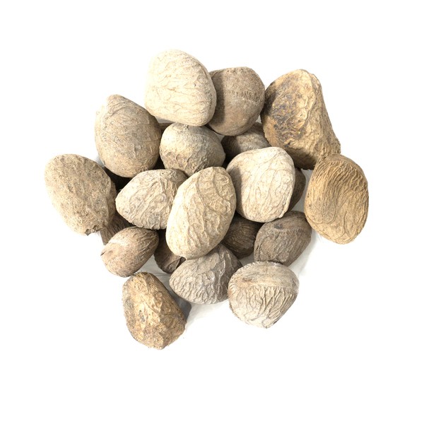 

Kluwek Picung Pucung Kepayang Keluwak Bumbu Masakan Bumbu rawon gabus pucung 1