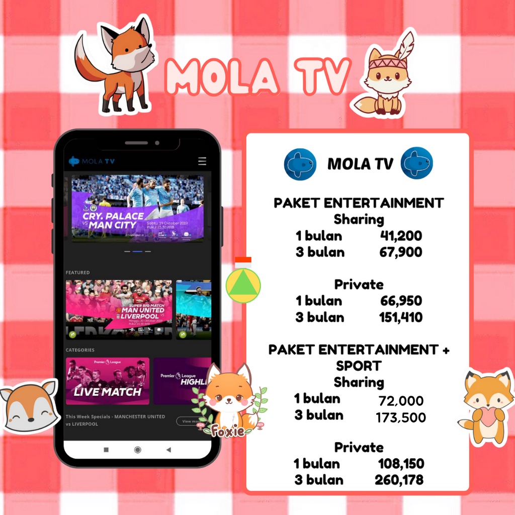 [BARANG] MOLA TV PRIVATE SHARE 1 BULAN 3 BULAN