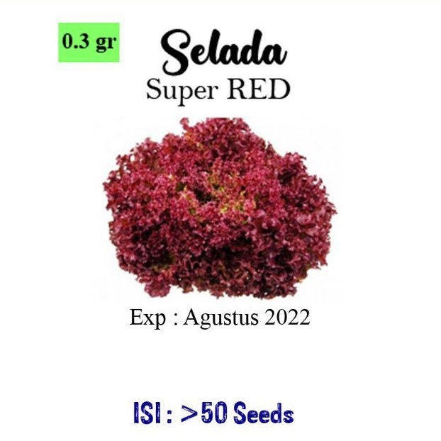 Benih Selada Merah Super RED - R