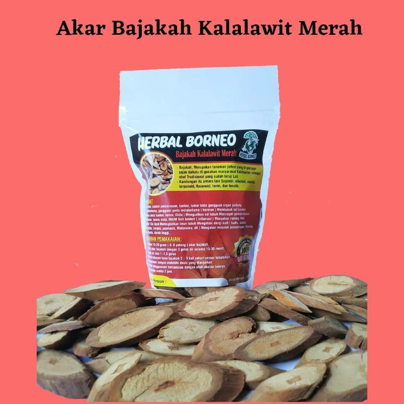 

AKAR BAJAKAH