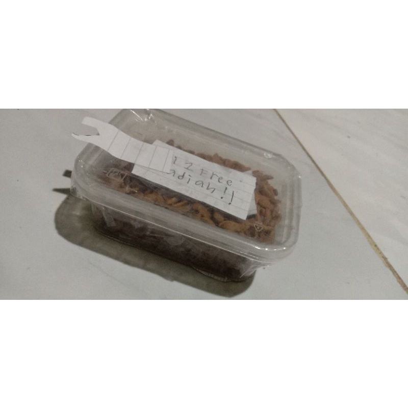 

MAKANAN KUCING BERBENTUK IKAN&BUKAT