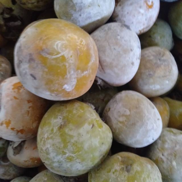 

Kesemek Kasemek ~Buah Genit Apel Jawa~ Persimmon minim order 2 kg @ kilogram