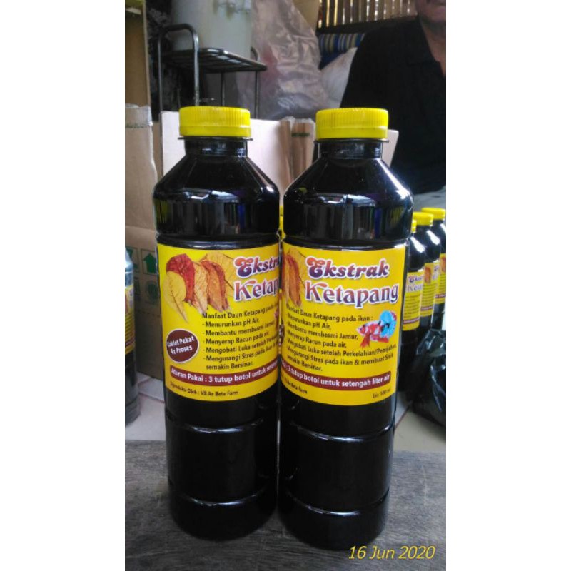 

Ektrak Ketapang 500 ml