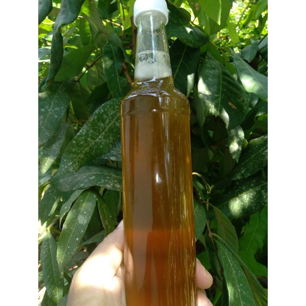 

Madu ASLI Unduhan Murah per botol