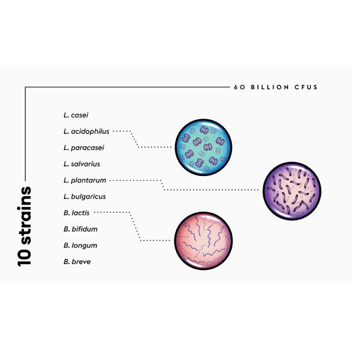 Physician Choice Probiotics 60 Billion CFU