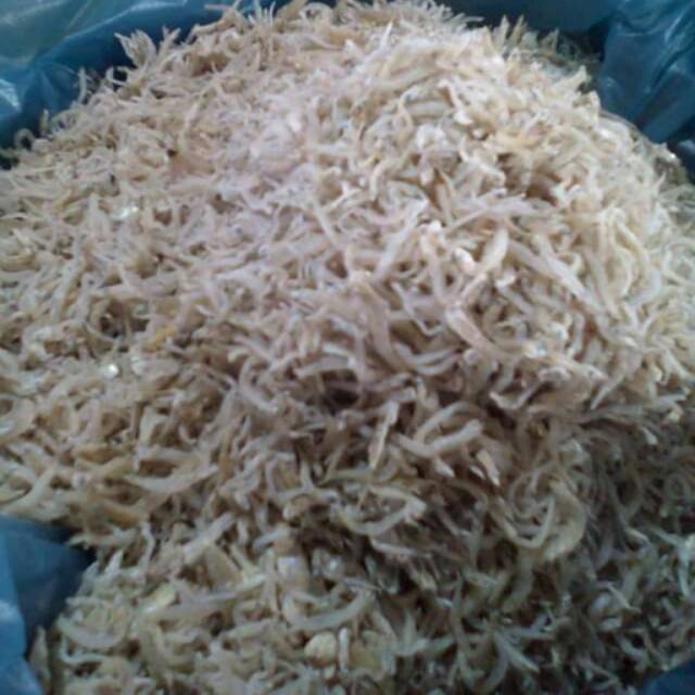 

IKAN ASIN ( teri nilon)