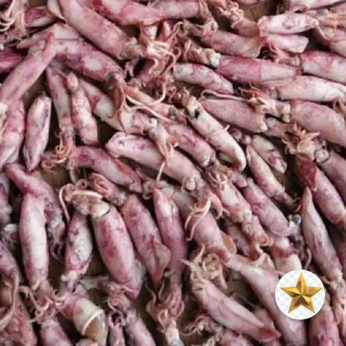 

ikan cumi asin