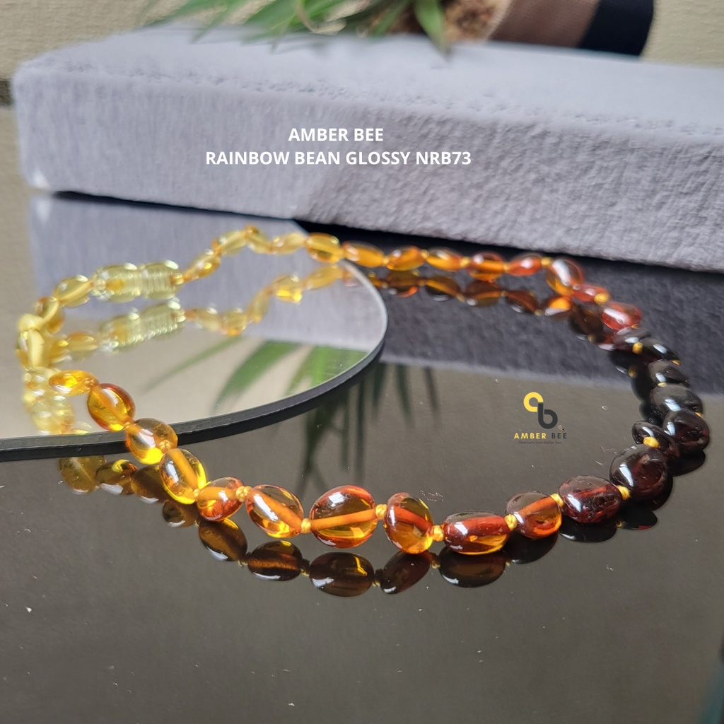 Kalung Amber Anak Premium Glossy Rainbow Beans NGRB73 By Amber Bee