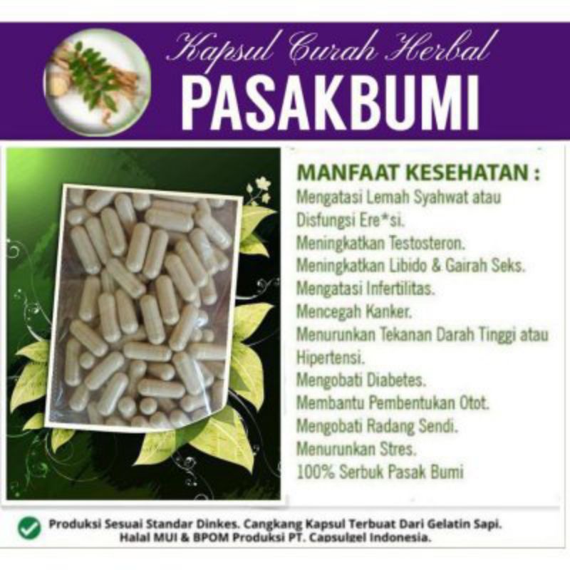 

Kapsul pasak bumi isi 100 tongkat ali herbal pria