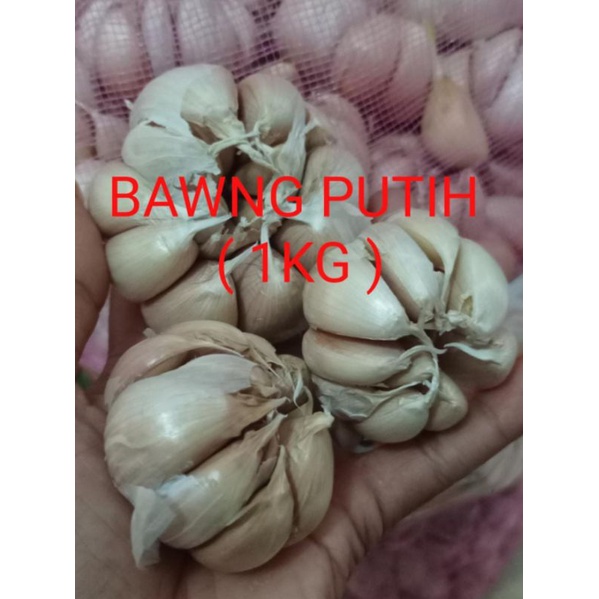 

1KG BAWANG PUTIH NERSIH PWNEN BARU