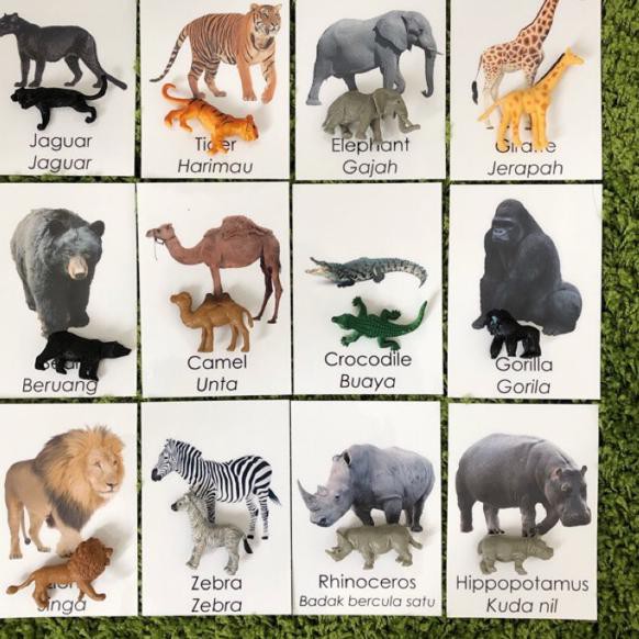 Cqz Safari Ltd Wild Animal Series Toobs Complete With 3 Parts Cards Shopee Indonesia
