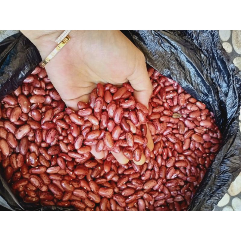 

kacang jogo merah 250gr