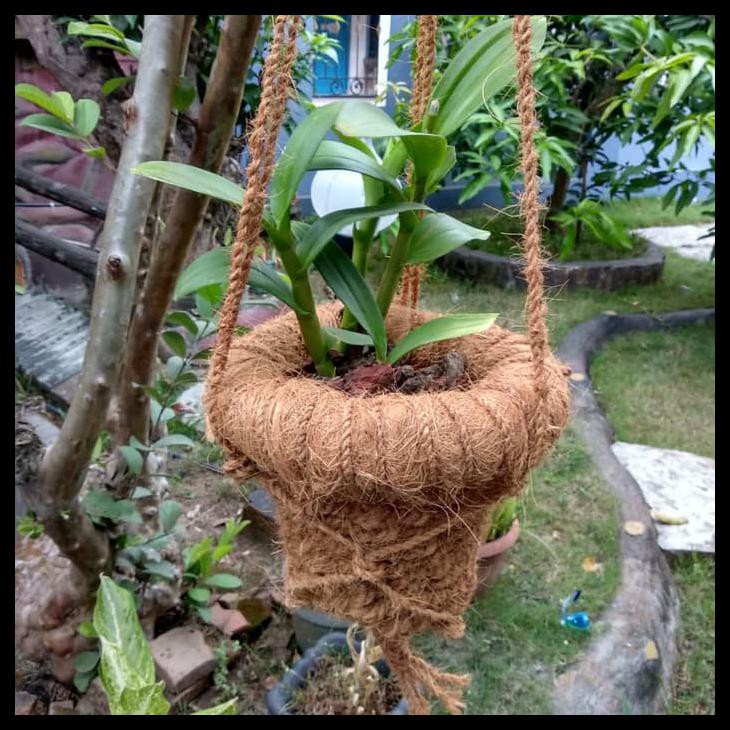 Promo Besar Besaran Pot Gantung Pot Serabut Kelapa Sabut Kelapa Pot Anggrek